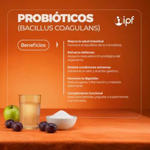PROBIÓTICOS (Bacillus Coagulans) - Imagen 2