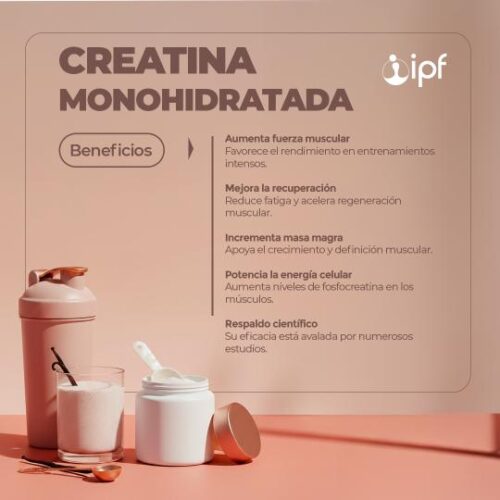 CREATINA MONOHIDRATADA x 300gr - Imagen 2
