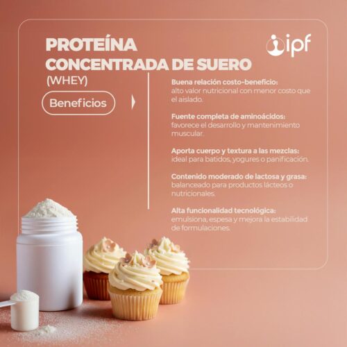 PROTEÍNA CONCENTRADA DE SUERO (Whey Protein) x 500 G - Imagen 2