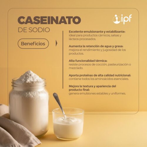 CASEINATO DE SODIO x 1KG - Imagen 2