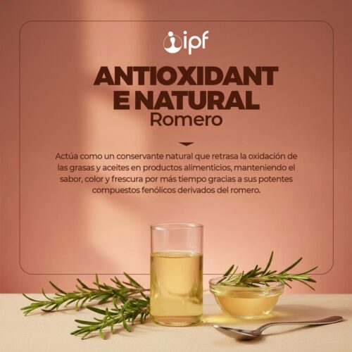 ANTIOXIDANTE NATURAL - ROMERO x 1 KG - Imagen 2